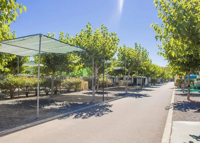Y Monmar Camping 4*