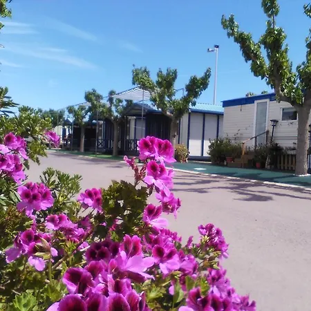 Y Monmar Camping