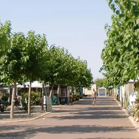 Y Monmar キャンプ場
